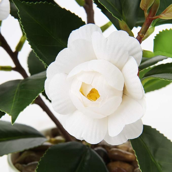 Briful Artificial Plants Mini Camellia Potted Fake Plants Small Faux Plastic Plants Desk Plant Artificial Flowers with Vase for Home Office Desk Kitchen Garden Indoor Decor