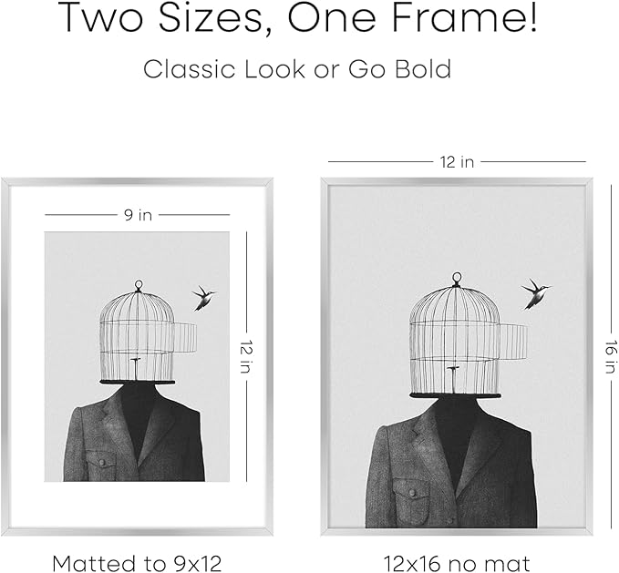 Homeforia 12 x 16 Picture Frame Silver, High End Metal 12x16 Poster Frames with Mat 9x12 Photo, 12 x 16 Silver Frame Matted to 9 x 12 in Print, 16by12 Hanging Frame, Tempered Glass, Wall Kit, Set of 2