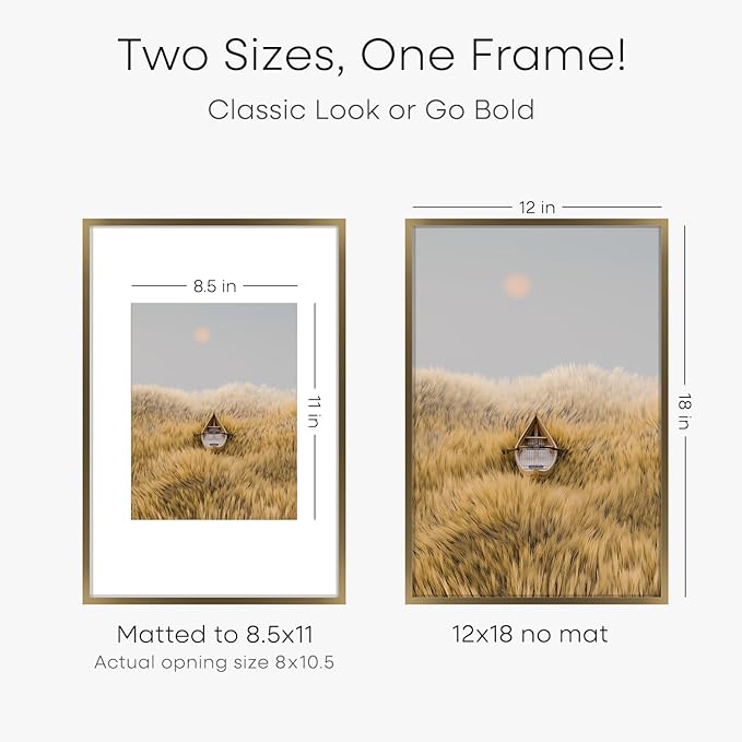 Homeforia 12x18 Bronze Picture Frame, High End Metal 12x18 Brass Poster Frames with Mat 8.5x11 Photo, 12 x 18 Frame Matted to 8.5 by 11 inch Print, 18x12 Thin Frame, Tempered Glass, Wall Kit, Set of 2