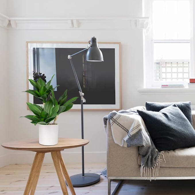 Hollyone Large Artificial Agave Plants Fake Three-Head Agave Succulent Plant Potted 15" Faux Plant in White Pot Succulent Aloe Plant Indoor for Desk Modern Home Decor