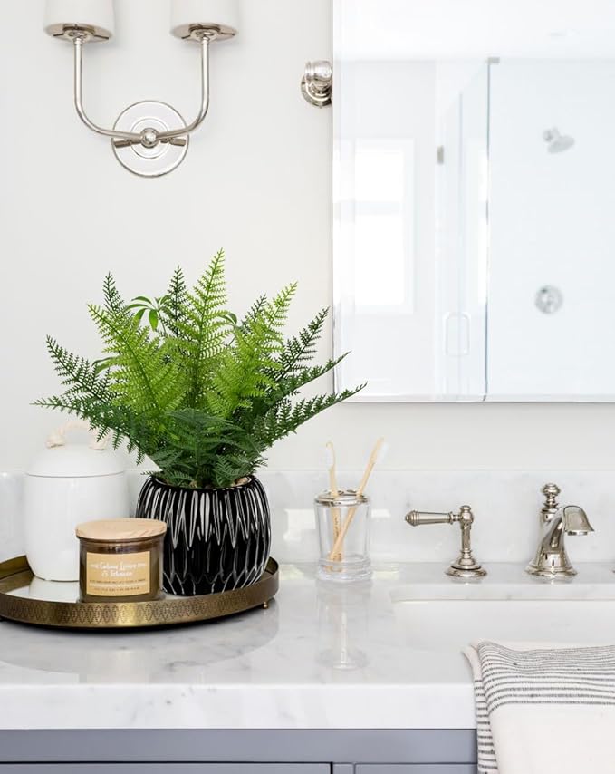 DILATATA Faux Plant Indoor in Ceramic Pot 13" Artificial Potted Fern Fake House Plants for Desk Office Bathroom Garden Decoration