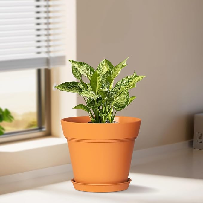 6 Inch Thick Plastic Plant Pots with Drainage Holes and Trays – 6 Pack Nursery Pots for Indoor & Outdoor House Plants, Seedling Starter Planters for Garden Flowers, Terracotta