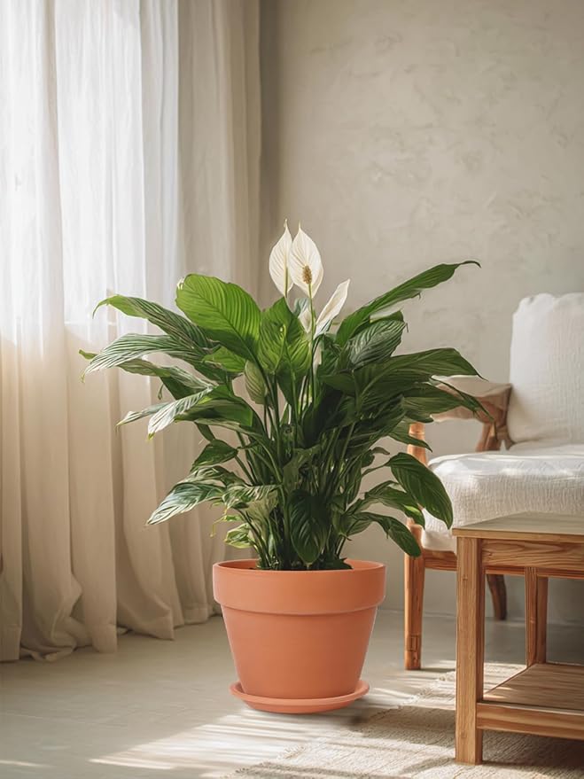 INGOFIN 12 Inch Terracotta Pot with Saucer - Ceramic Clay Pot for Plants with Drainage Hole, Large Terra Cotta Flower Planter with Tray for Indoor Outdoor Plants