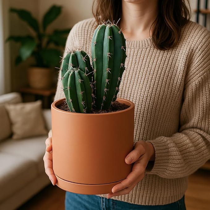 D'vine Dev Terracotta Pots for Plants, 5.3 Inch 6.5 Inch 8.3 Inch, Round Cylinder Planter Pot with Drainage and Saucer, 40-T-B-0