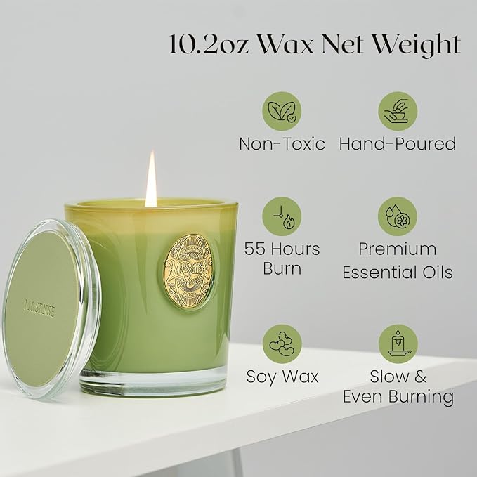 M&SENSE Natural Soy Candle| Eucalyptus Sage Green | 10.2 oz, 55H Burn | Luxury Scented Candle for Relaxation, Gifting, Home Décor |for Bedroom, Office, Party