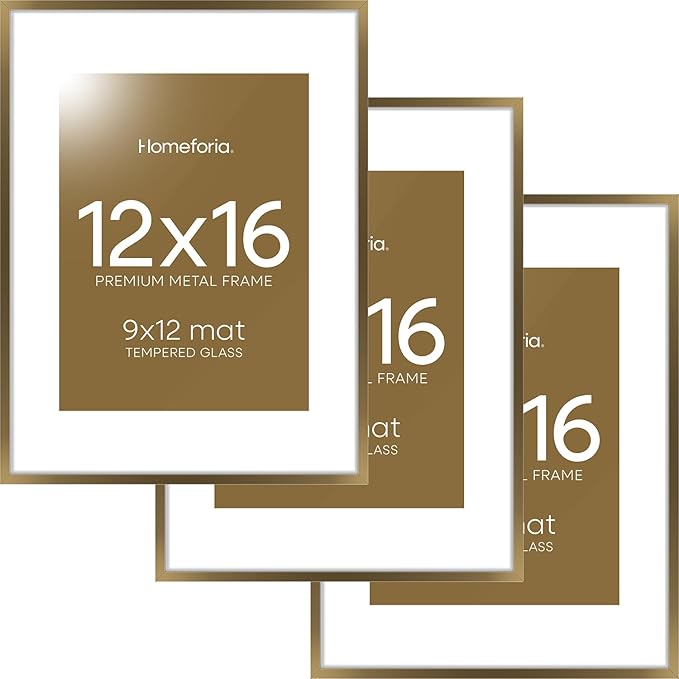 Homeforia 12x16 Picture Frame Bronze, High End Metal 12x16 Brass Poster Frames with Mat 9x12 Photo, 12 x 16 Bronze Frame Matted to 9 by 12 Print, 16by12 Thin Frames, Tempered Glass, Wall Kit, Set of 3