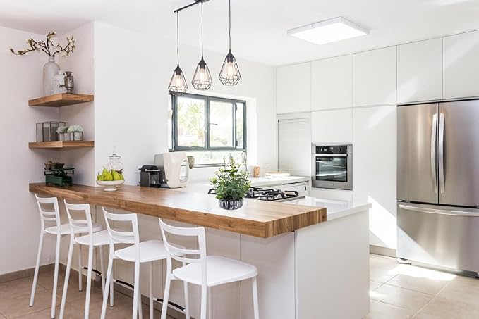 Artificial Plants Potted Real Looking Small Faux Plant with Rustic Black Cement Planter for Kitchen Office Desk Bookshelf Decor (Eucalyptus Plant)