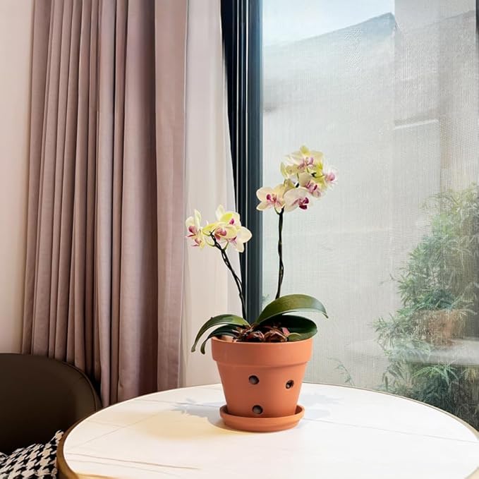 Clay Orchid Pots with Holes,Terracotta Orchid Pots with Drainage Holes & Saucer for Repotting 6 Inch, Orchid Planters for Indoor Plants