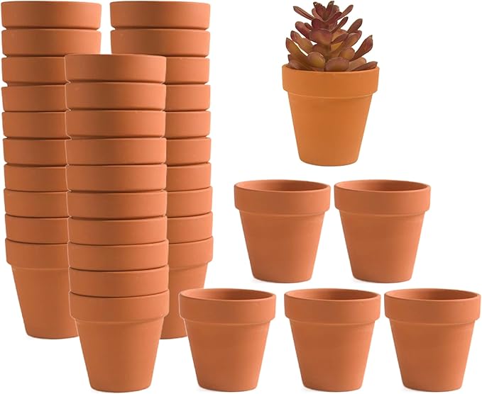 Fcacti 36 PCS Small Mini Clay Pots with Drainage Holes for Plants,2.5inch Terra Cotta Pot Clay Ceramic Pottery Planter,Succulent Nursery Pot/Cactus Plant Pot,for Indoor/Outdoor Plants,Crafts
