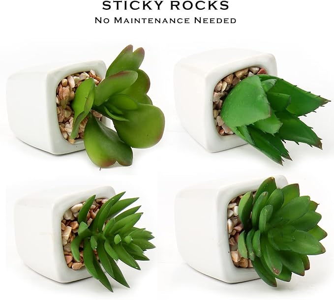Hollyone Succulents Plants Artificial 4Pcs Small Fake Succulents in Pots Faux Plastic Potted Plants with White Ceramic Pot for Home Decor Office Desk Bathroom Shelf Indoor & Outdoor Decoration