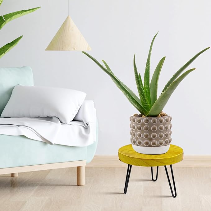 Plant Stand Indoor Outdoor Wood Mid Century Plant Stand for Indoor Plants, Modern Plant Table Round Plant Stool, Boho Rustic Wooden Stool for Plant Pot Hol (L)