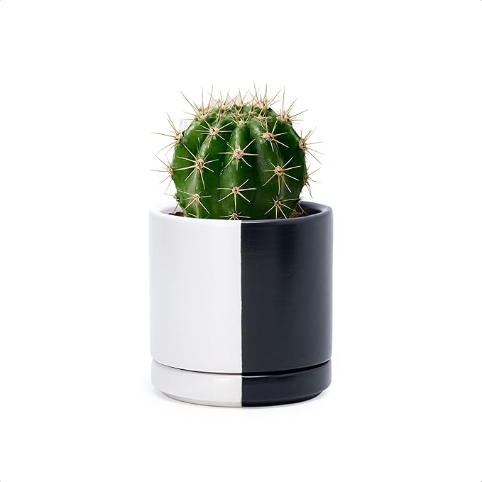 D'vine Dev 3.5 Inch Ceramic Planter Pot with Drainage Hole and Saucer, Indoor Cylinder Round Planter Pot, Split Monochrome Black & White, 94-O-A-0