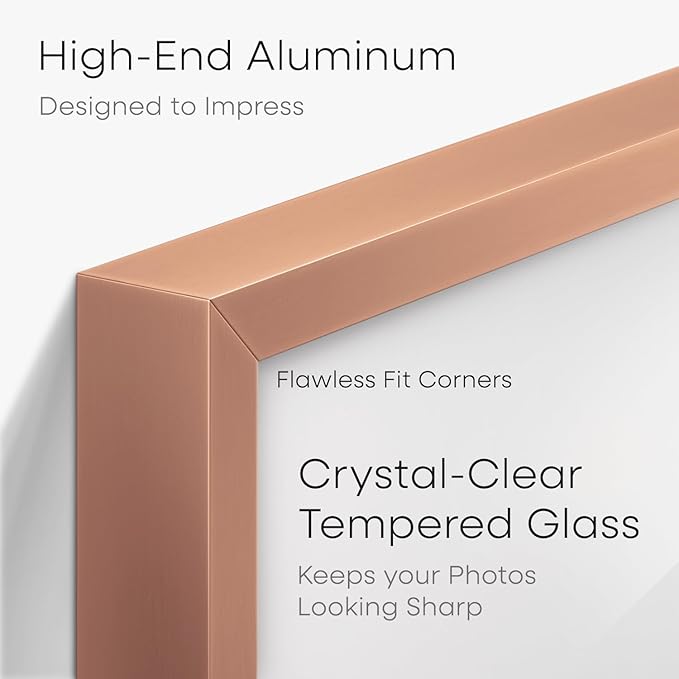 Homeforia 18x24 Frame Rose Gold, High End Metal 18x24 Poster Frames with Mat 16x20 inch Photo, 18 x 24 Rose Gold Picture Frame Matted to 16 by 20 Print, 24x18 Frame, Tempered Glass, Wall Kit, Set of 2