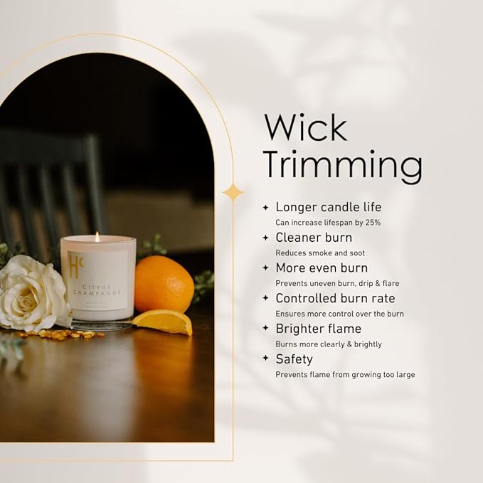Citrus Champagne Single Wick Soy Candles, Luxury Scented Candles for Home - Up to 60 Hour Burn Time, Cruelty-Free Soy Wax Blend - Citrus Fragrance, Notes of Berries & Jasmine (9 oz)