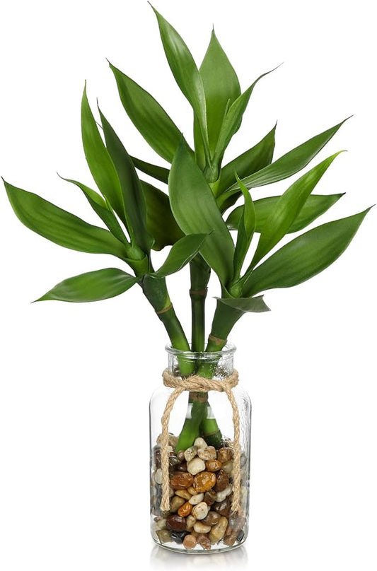 Artificial Lucky Bamboo Plant 17.3 Fake Plant in Glass Vase for Home Indoor Table Centerpieces Desk Office Living Room Bedroom Decoration