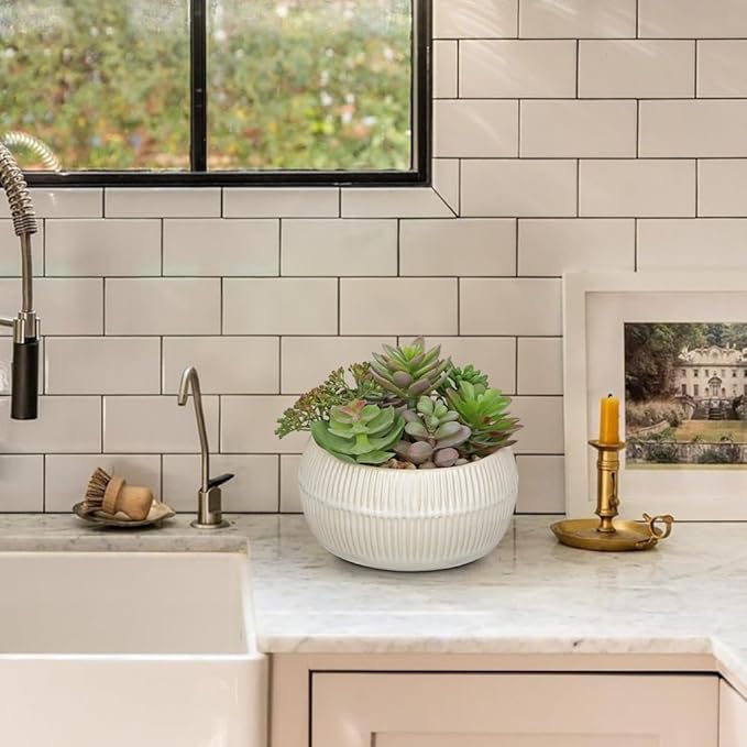 DILATATA Artificial Succulent Plants in Pot 5.5 Inch Fake Succulents Arrangement Potted Plant in White Ceramic Planter Bowl for Home Office Desk Shelf Living Room Bedroom Bathroom Decor