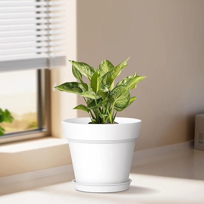 6 Inch Thick Plastic Plant Pots with Drainage Holes and Trays – 6 Pack Nursery Pots for Indoor & Outdoor House Plants, Seedling Starter Planters for Garden Flowers, Colorful