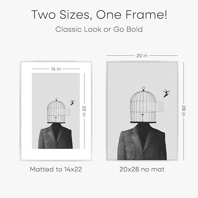 Homeforia 20x28 Picture Frame Silver, High End Metal 20 x 28 Poster Frame with Mat 14 x 22 for Photo, 20x28 Silver Frames Matted to 14x22 Print, 28x20 Hanging Frame, Tempered Glass, Wall Kit, Set of 2