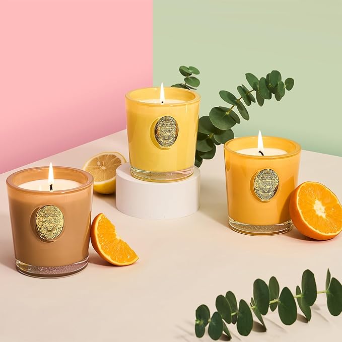 M&SENSE Natural Soy Candle| Santal Brown | 10.2 oz, 55H Burn | Luxury Scented Candle for Relaxation, Gifting, Home Décor | for Bedroom, Office, Party