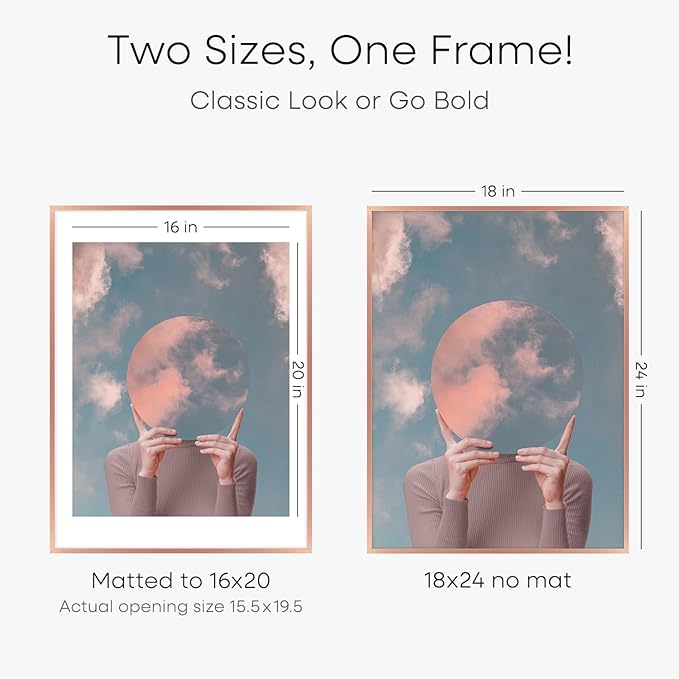 Homeforia 18x24 Frame Rose Gold, High End Metal 18x24 Poster Frames with Mat 16x20 inch Photo, 18 x 24 Rose Gold Picture Frame Matted to 16 by 20 Print, 24x18 Frame, Tempered Glass, Wall Kit, Set of 2