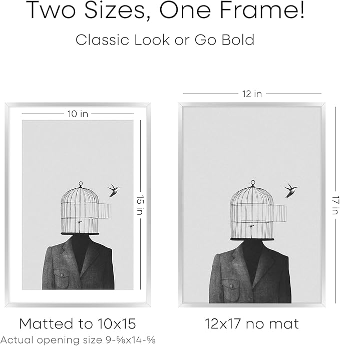 Homeforia 12x17 Picture Frame Silver, High End Metal 12x17 Frames with Mat 10x15 for Photo, 12 x 17 Silver Poster Frame Matted to 10 x 15 Print, 17x12 Hanging Frame, Tempered Glass, Wall Kit, Set of 3