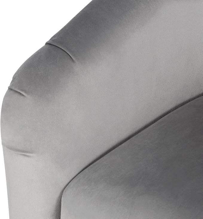 Yaheetech Living Room Chairs, Velvet Accent Chairs Set of 2, Cozy Barrel Chairs with Soft Padded for Living Room/Waiting Room/Bedroom/Office, Light Gray