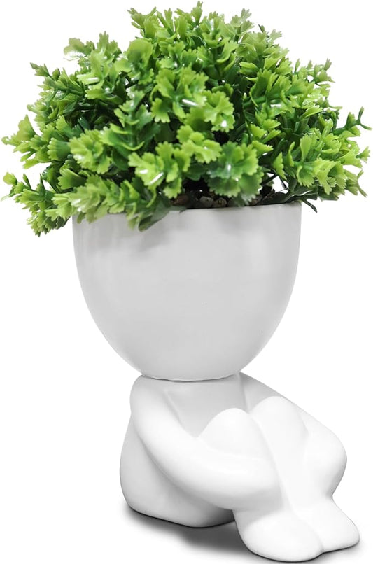 Zerzsy Cute Fake Plants,Home Bedroom Bathroom Office Shelf Office Wall Room Farmhouse Decor Artificial Plants - Set of 1