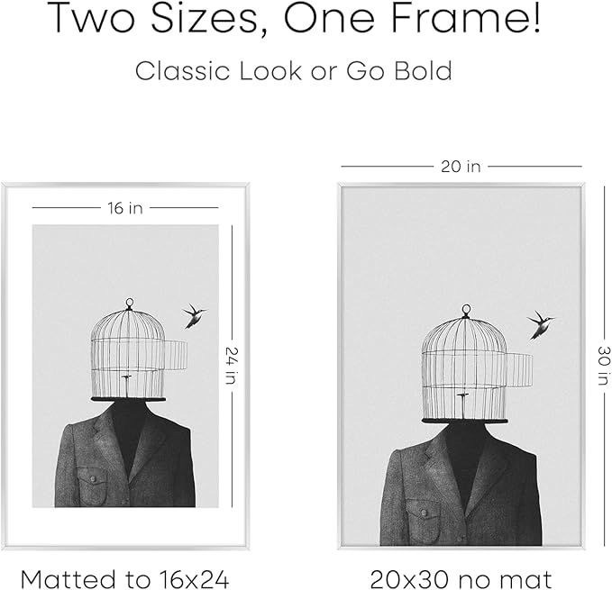 Homeforia Poster Frame Silver 20x30, High End Metal 20 x 30 Picture Frame with Mat 16 x 24 for Photo, 20x30 Silver Frames Matted to 16x24 Print, 30x20 Hanging Frame, Tempered Glass, Wall Kit, Set of 2