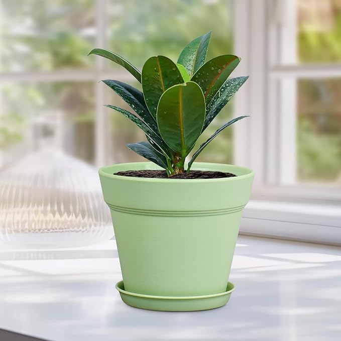 4 inch Small Plastic Nursery Pots, 16 Pack Plant Pots for Indoor Outdoor Plants, Flower Pots with Drainage Holes and Saucers, Decorative Seedling Starter Planters for House Plants, Green