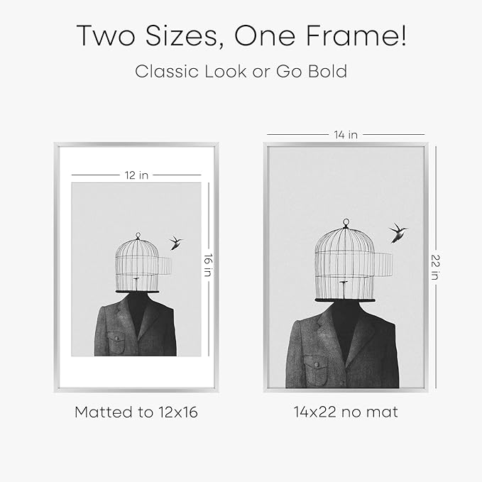 Homeforia 14x22 Picture Frame Silver, High End Metal 14 x 22 Frame with Mat 12 by 16 Photo, 14x22 Silver Poster Frame Matted to 12x16 in Print, 22x14 Hanging Frames, Tempered Glass, Wall Kit, Set of 2