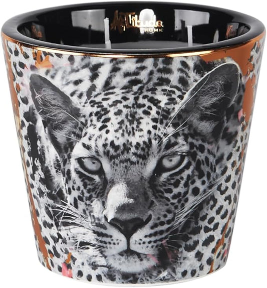 Scented Candle | Eco-Friendly Soy Blend Wax | Luxury Candles | Perfect for Gifting | Perfect for Home Décor | 14oz | 10cm Tall | Approx Burn Time - 80 Hours (Savannah Nights, 10cm)