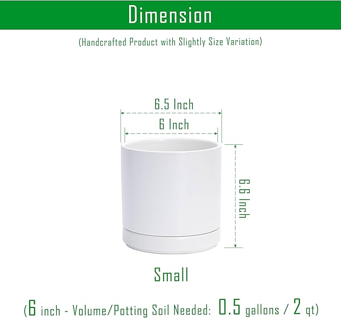 D'vine Dev 6.5 Inch Ceramic Planter Pot with Drainage Hole and Saucer, Indoor Cylinder Round Flower Pot, White, 94-O-C-1