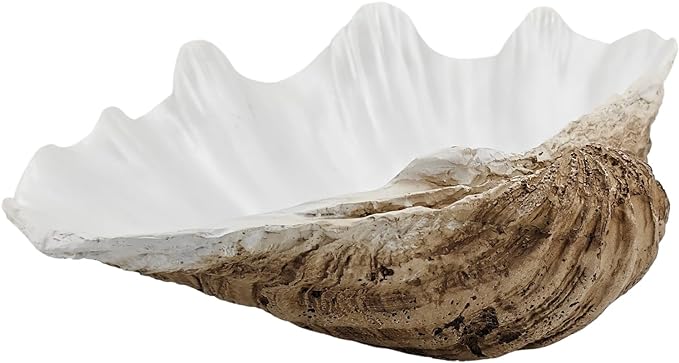 Medium Pearl White Weathering Scalloped Clam Shell Bowl Sea Shell Decor for Nautical Beach House,Coastal Decor Gift of Housewarming and Wedding Party