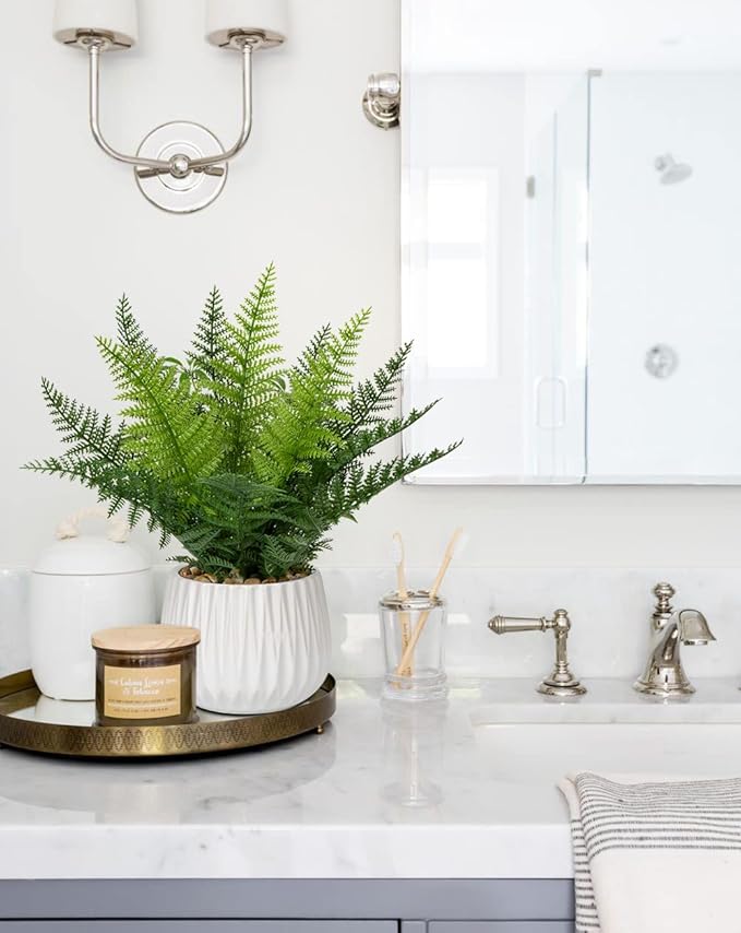 DILATATA Faux Plant Indoor in Ceramic Pot 13" Artificial Potted Fern Fake House Plants for Desk Office Bathroom Garden Decoration
