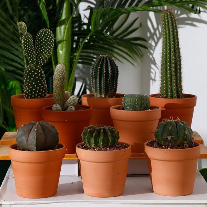 4.6 Inch Terracotta Clay Pots Pack of 8 - Mini Hand Craft Nursery Plant Pot Succulent Cactus DIY Pottery Planter Home Garden Windowsill Decoration
