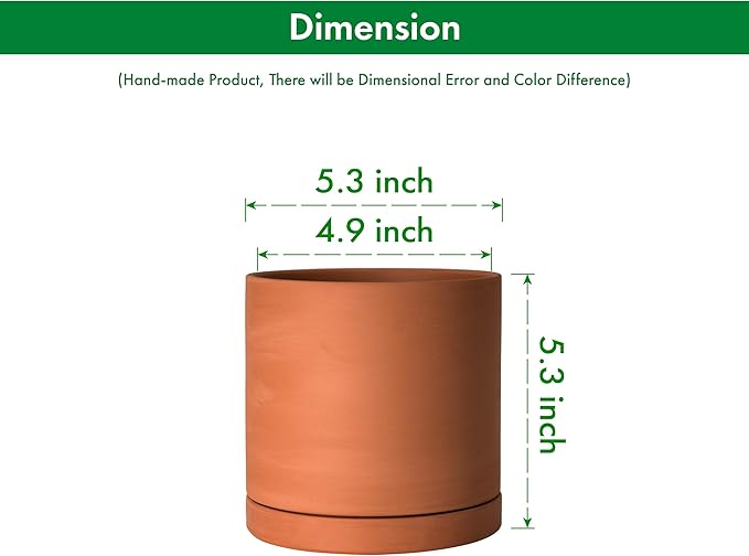 D'vine Dev Small Plus 5 Inch Terracotta Plant Pot with Drainage Hole and Saucer, Round Cylinder Planter Pot for Indoor Plants, 40-X-A-2