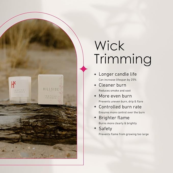 Tropical Essence Single Wick Soy Candles, Luxury Scented Candles for Home - Up to 60 Hour Burn Time, Cruelty-Free Soy Wax Blend - Floral Fragrance, Notes of Coconut & Citrus (9 oz)