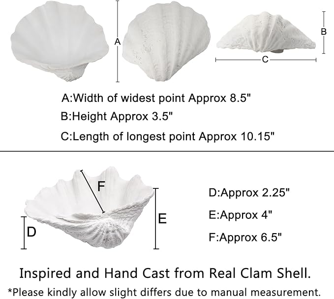 Medium White Scalloped Clam Shell Bowl Sea Shell Decor for Nautical Beach House,Coastal Decor Gift of Housewarming and Wedding Party