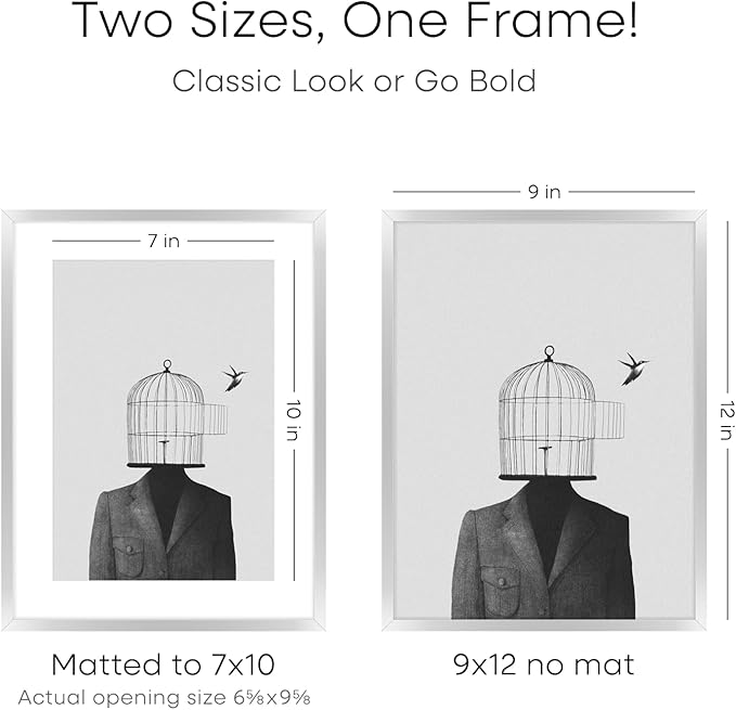 Homeforia 9x12 Picture Frame Silver, High End Metal 9 x 12 Frames with Mat 7 by 10 inch Photo, 9by12 Poster Frame Matted to 7x10 Print, 12x9 Wall or Tabletop Frames, Tempered Glass, Wall Kit, Set of 2
