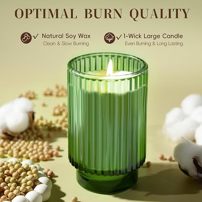 Balsam Cedar Scented Candle for Home, Winter Christmas Soy Candle for Gifts, 70 Hours Burning Fir Jar Candle in Glass, Ideal for Holiday Relaxing Ambience