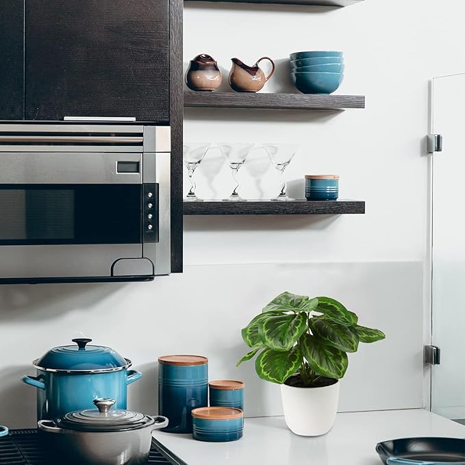 Briful 2 PCS Artificial Potted Alocasia Begonia Calathea Plants Mini Fake Plants in Plastic Pot Small Greenery Faux Plants Indoor for Home Office Desk Room Table Bathroom Bedroom Decorations