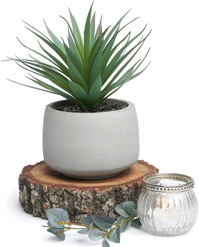 Kurrajong Farmhouse Artificial Plant Indoor | 7" high Fake Plant | Artificial Succulent in Pot | Fake Succulent | Faux Plant in Pot for Desk Decor