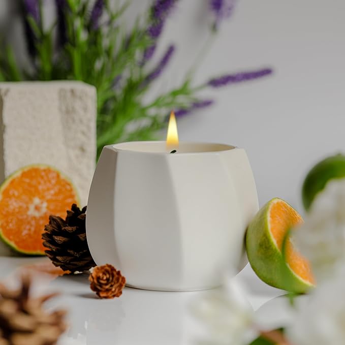 Scented Candle for Home Scented, Luxury Ceramic Candle Jar for Women & Men, Natural Soy Candle for Home Décor, Lemon & Lavender Spa