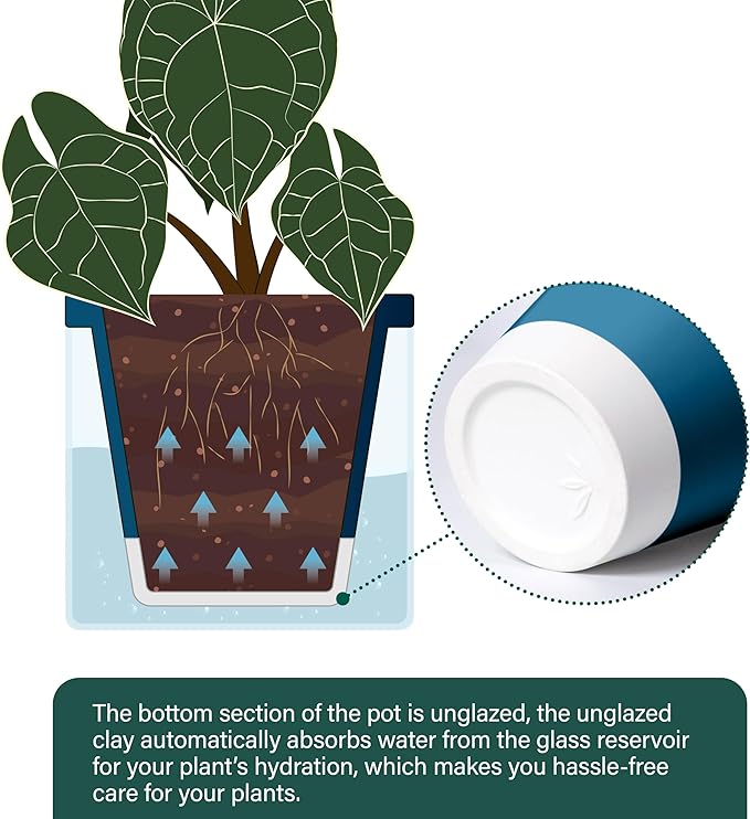 D'vine Dev 6 Inch Design Self Watering Planter for Indoor Plants, Blue Terracotta Pot with Cylinder Glass Cup, Set of 2, 37-Y-B-4