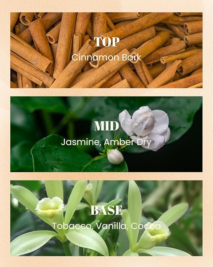 M&SENSE Cinnamon Tobacco Scented Candles,Vegan Soy Wax Candle,10oz 42-Hour Slow Burning Time,No Toxin Naturally Scented Home Fragrance for Stress Relief in Sleep & Living Rooms,Gifts for Dad Man