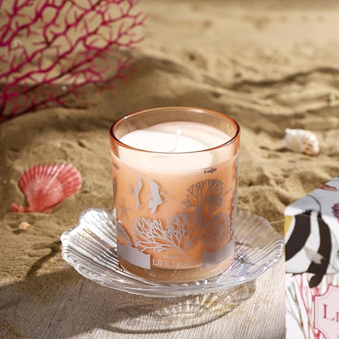 ROMIIE ZOI Scented Candle - Life of Sea- 6oz Aromatherapy Soy Wax Jar Candle for Home, Gifts for Women - 170g