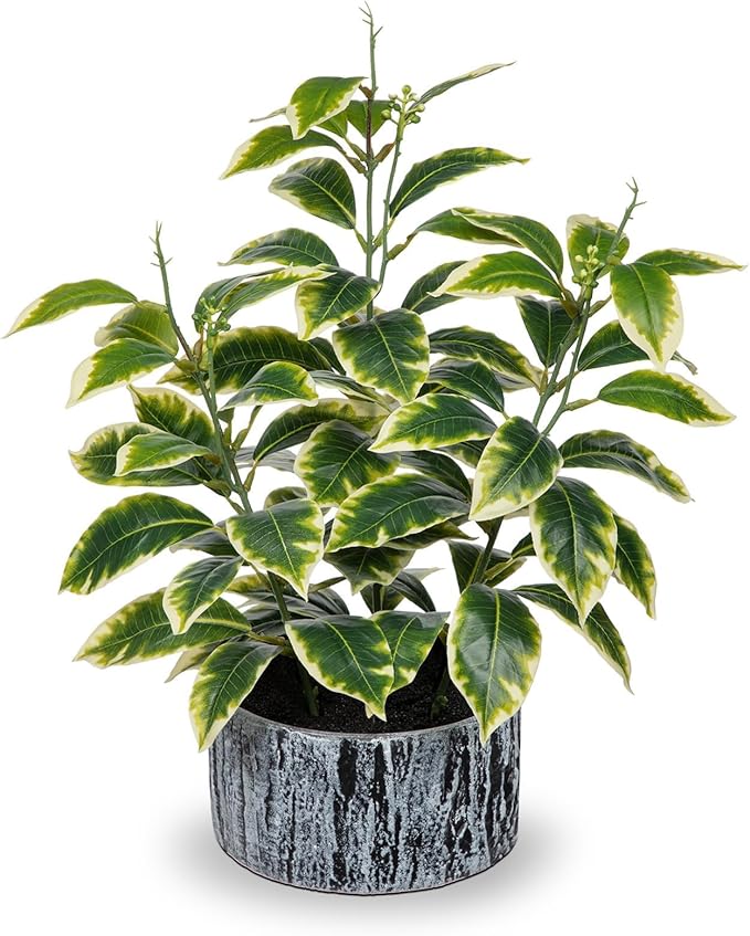 Artificial Plants Decor Greenery Fake Ficus White-edged Leaf with Seeds Indoor Potted 14" Fake Plant in Rustic Black Ceramic Planter for Farmhouse Room Bathroom Bedroom Kitchen Office Table Desk Decor