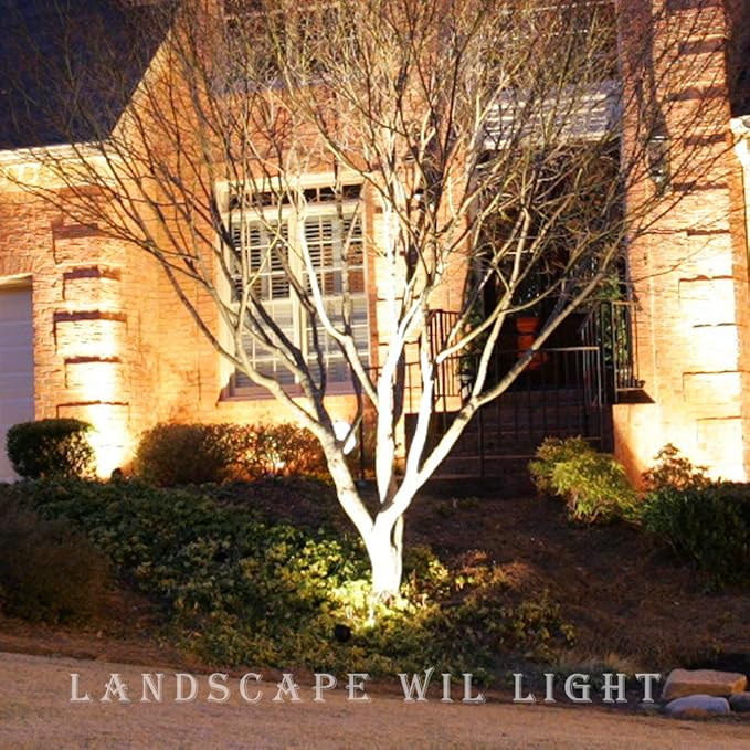 Lumina Lighting 12V Low Voltage Landscape Lighting PVC Adjustable Black Well Light for Yard,Garden,Lawn,Flower Bed or Tree Inground Light with Glass Cover Without Bulb WIL0104-2 (2-PK