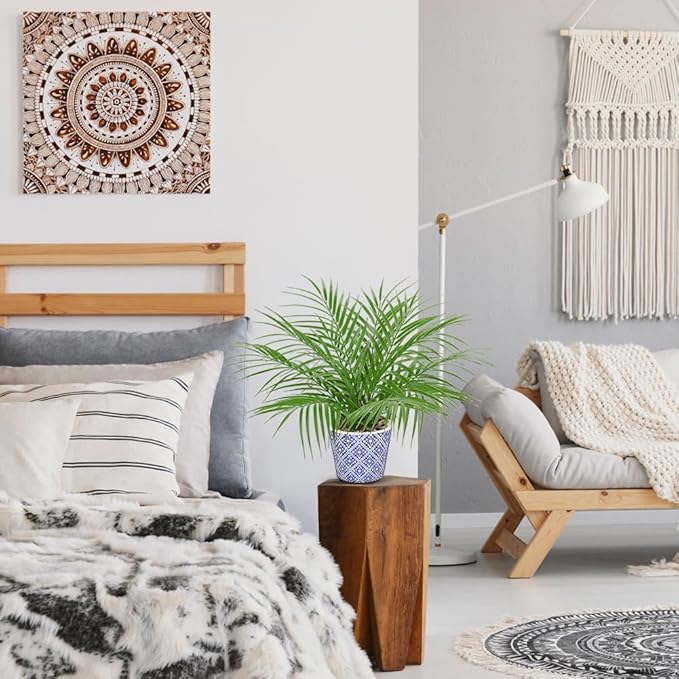 Hollyone Large Artificial Potted Plants Fake Palm Plants 16" Faux Green Plant Plastic Tropical Palm Tree in Blue and White Ceramic Pots Bohemian for Home Room Office House Indoor Decoration