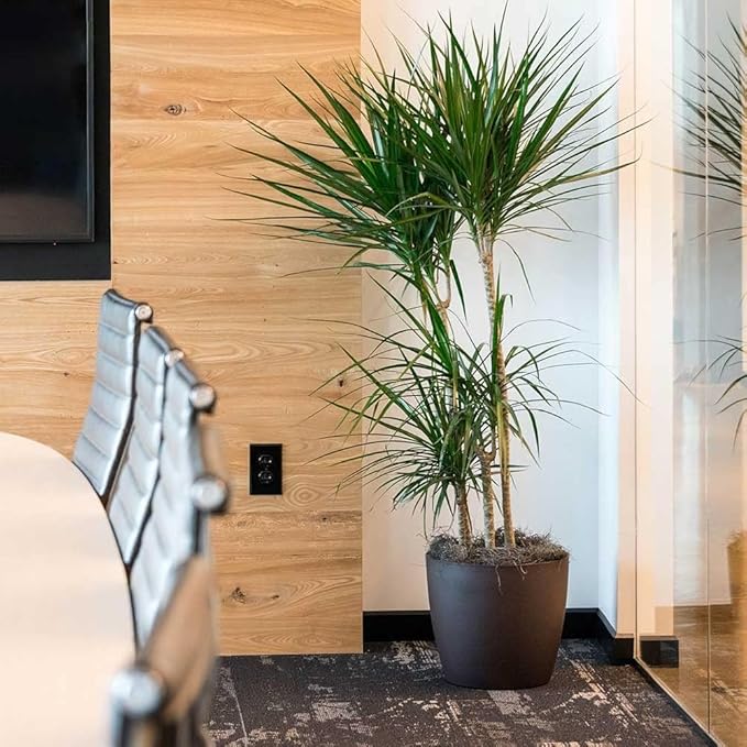 American Essence Memphis Small Round Plastic Planter - 15 in x 15 x 13.5 in - Black